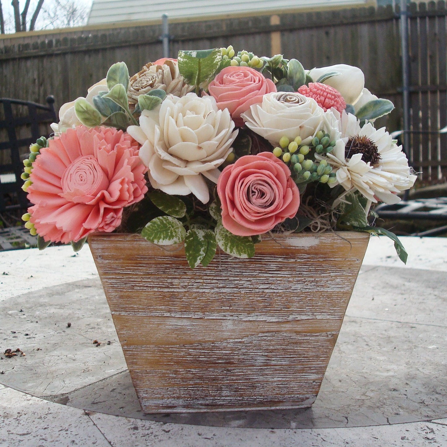 Pale pink in white Sola flowers in a washed wood planter